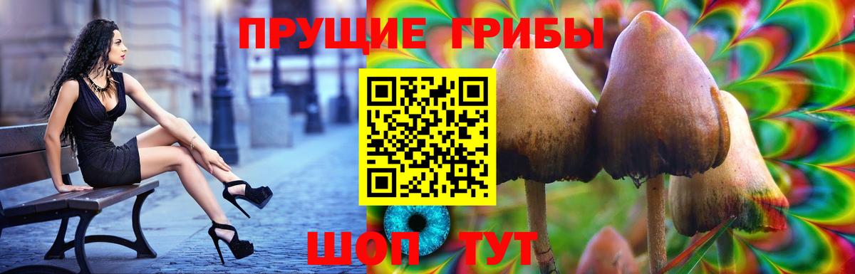 Галлюциногенные грибы ЛСД  Вход с VPN  Острогожск 